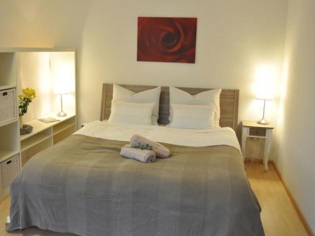 Apartment Mida Friburgo de Brisgovia Habitación foto